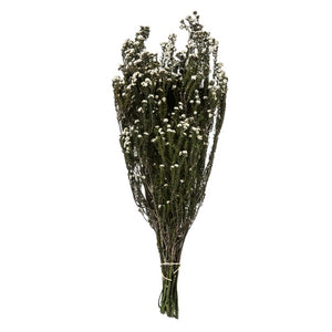 H1PHY000-2 Decor/Faux Florals/Floral Arrangements