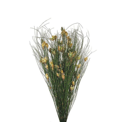 Product Image: H1BFS000-2 Decor/Faux Florals/Floral Arrangements