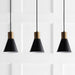 JYL6134A Lighting/Ceiling Lights/Pendants
