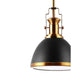 JYL9535A Lighting/Ceiling Lights/Pendants