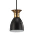 JYL6138A Lighting/Ceiling Lights/Pendants