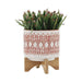 16401-05 Outdoor/Lawn & Garden/Planters