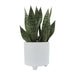 16970 Outdoor/Lawn & Garden/Planters