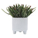 16970 Outdoor/Lawn & Garden/Planters