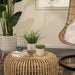 14770-03 Outdoor/Lawn & Garden/Planters