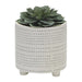 15064-08 Outdoor/Lawn & Garden/Planters