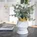 16053-02 Outdoor/Lawn & Garden/Planters