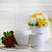 13561-05 Outdoor/Lawn & Garden/Planters