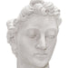 15021 Outdoor/Lawn & Garden/Planters
