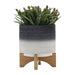 15034-02 Outdoor/Lawn & Garden/Planters