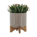 15817-02 Outdoor/Lawn & Garden/Planters