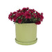 16042-01 Outdoor/Lawn & Garden/Planters