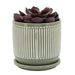 14771-01 Outdoor/Lawn & Garden/Planters