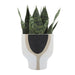 16782-03 Outdoor/Lawn & Garden/Planters