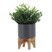 15798-01 Outdoor/Lawn & Garden/Planters