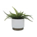 14949-05 Outdoor/Lawn & Garden/Planters