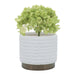 14949-05 Outdoor/Lawn & Garden/Planters