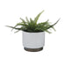14949-06 Outdoor/Lawn & Garden/Planters