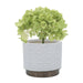 14949-06 Outdoor/Lawn & Garden/Planters