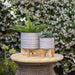14760-01 Outdoor/Lawn & Garden/Planters