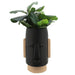 16194-01 Outdoor/Lawn & Garden/Planters