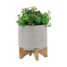 15818-02 Outdoor/Lawn & Garden/Planters