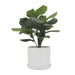 16039-01 Outdoor/Lawn & Garden/Planters