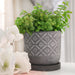 14768-01 Outdoor/Lawn & Garden/Planters