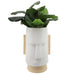 16194-04 Outdoor/Lawn & Garden/Planters