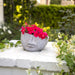 16016-02 Outdoor/Lawn & Garden/Planters