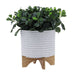15780-01 Outdoor/Lawn & Garden/Planters