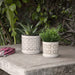 14807-06 Outdoor/Lawn & Garden/Planters