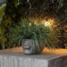 13023 Outdoor/Lawn & Garden/Planters