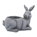 16749-02 Outdoor/Lawn & Garden/Planters