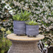 15063-05 Outdoor/Lawn & Garden/Planters
