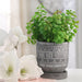 14769-01 Outdoor/Lawn & Garden/Planters