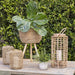 16311 Outdoor/Lawn & Garden/Planters