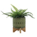 15036-05 Outdoor/Lawn & Garden/Planters