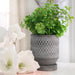 14769-02 Outdoor/Lawn & Garden/Planters