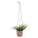 16377-04 Outdoor/Lawn & Garden/Planters