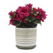 16400-06 Outdoor/Lawn & Garden/Planters