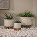 15056-01 Outdoor/Lawn & Garden/Planters