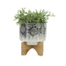 16579-01 Outdoor/Lawn & Garden/Planters