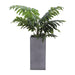 16823-02 Outdoor/Lawn & Garden/Planters