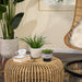 13874-03 Outdoor/Lawn & Garden/Planters