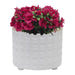 15064-01 Outdoor/Lawn & Garden/Planters