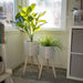 14533-02 Outdoor/Lawn & Garden/Planters