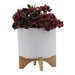 15781-01 Outdoor/Lawn & Garden/Planters