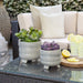 14804-05 Outdoor/Lawn & Garden/Planters