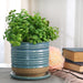14773-05 Outdoor/Lawn & Garden/Planters